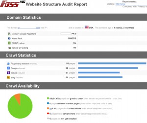 FOSSMG-SEO-AUDIT-REPORT SAMPLE-3